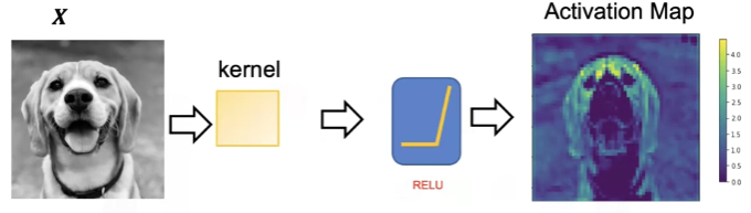 ReLU Graph
